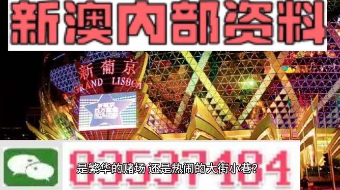新澳門精準(zhǔn)資料大全管家婆料，探索與解析，澳門精準(zhǔn)資料大全解析，探索管家婆料內(nèi)幕